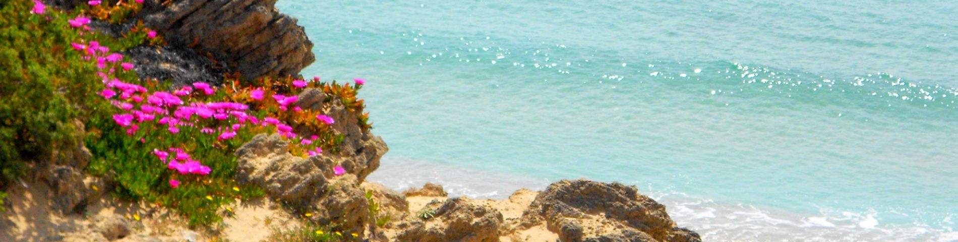 Mare e fiori