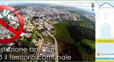 DISINFESTAZIONE ANTIALATI