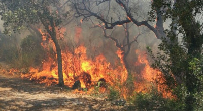 Elenco delle aree percorse da incendi nell'anno 2018 approvati con Determina ...