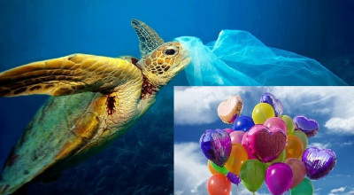 DIVIETO DI UTILIZZO ED ABBANDONO DI NASTRI E PALLONCINI IN GOMMA