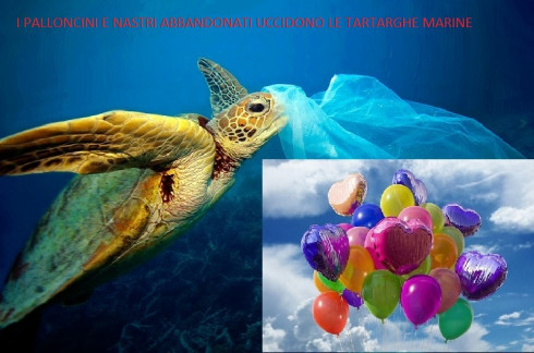 DIVIETO DI UTILIZZO ED ABBANDONO DI NASTRI E PALLONCINI IN GOMMA