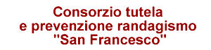 Consorzio San Francesco